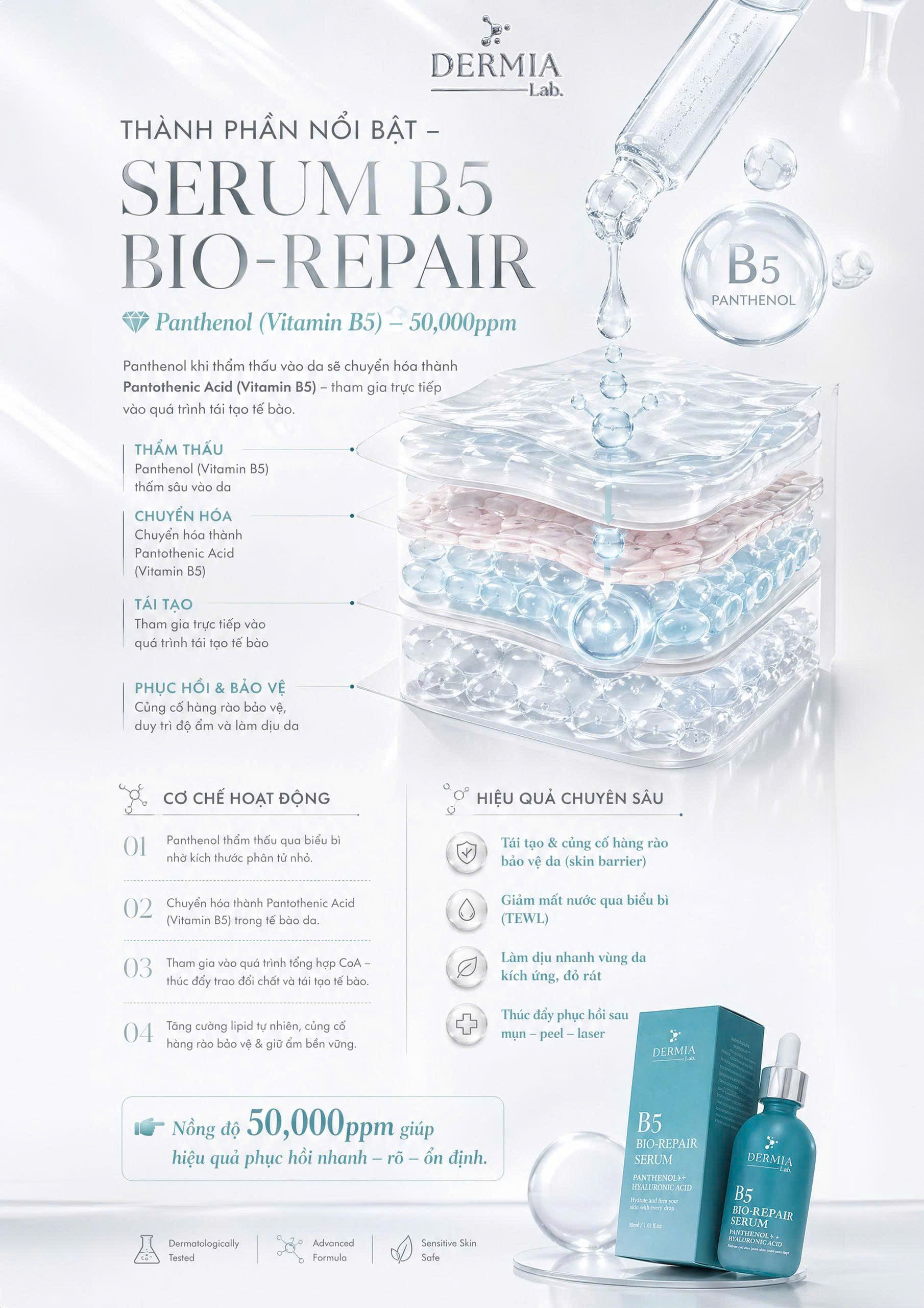 Serum Phục Hồi Da Yếu & Khóa Ẩm Đa Tầng DERMIA Lab B5 Bio-Repair Serum - Ảnh 3